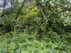 Land for Sale Puwakpitiya