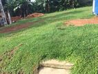 Land for Sale Ragama