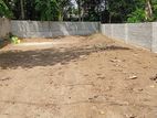 Land for Sale Ragama