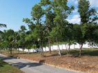 Land for Sale Ragama