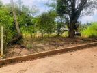 Land for Sale Ragama