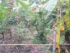 Land for Sale Ragama