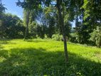 Land For Sale Ragama