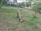 Land for Sale Ragama, Heenkenda