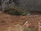 Land for sale Ragama kadawatha road