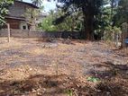 Land for Sale - Ragama Town