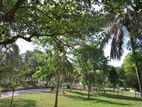 Land for Sale Ragama(b)