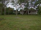 Land for Sale Raigama