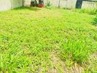 Land for Sale Rajagiriya DS 0066