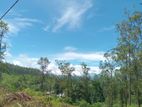 Land for Sale Ramboda