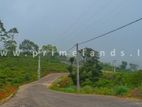 LAND FOR SALE RAMBODA