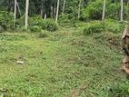 Land For Sale - Rambukkana , Kudagama