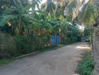 Land for Sale Ranala, Facing low level road ( ID : RN12 )
