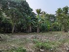 Land for Sale, Randawana-Kirindiwela