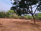 Land for Sale Ranna