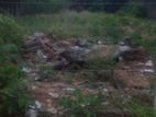 Land For Sale Rathmalana 1st Lane