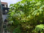 Land For Sale | Rathmalana