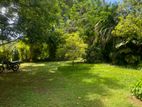Land For Sale Rathmalana