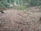 Land for Sale - Rathnapura