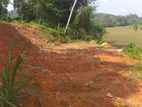 Land for Sale Rathnapura