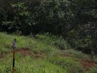Land for sale Rathnapura