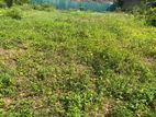 🌿 Land for Sale – Ratmalana