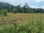 Land for Sale Ratnapura