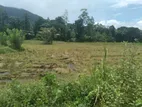 Land for Sale Ratnapura