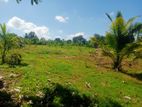 Land for Sale ( Residential Agricultural) Polpithigama