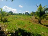 Land for Sale ( Residential Agricultural) Polpithigama