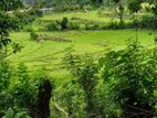 Land for Sale Riverstone, Pitawala