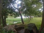 Land for Sale රයිගම