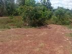 Land for Sale රයිගම
