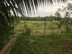 Land for Sale Seeduwa