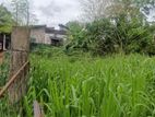 land for sale sewapiysa road wewalagra bollatha ja ela