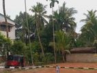 Land for Sale Siddamulla Kottawa P27