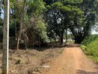 Land for Sale Sigiriya Digampathaha