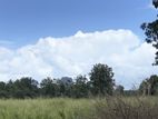 Land for Sale Sigiriya