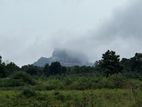 Land for Sale Sigiriya
