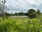 land for sale sigiriya