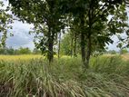 land for sale sigiriya