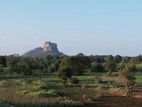 land for sale Sigiriya