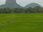 Land for Sale Sigiriya