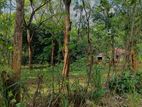 Land for Sale – Sigiriya