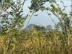 Land for Sale Sigiriya
