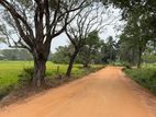 Land for Sale Sigiriya