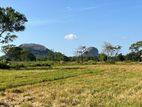 Land for Sale Sigiriya (paddy Field and Canal View)