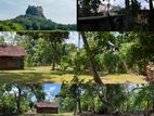 Land for Sale Sigiriya (rock view)