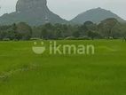 Land for Sale Sigirya