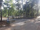 LAND FOR SALE SINHARAGAMA